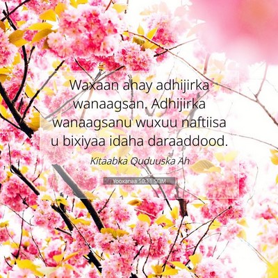 Picture 07 - Yooxanaa 10:11 SOM - Waxaan ahay adhijirka wanaagsan. Adhijirka - Bible Verse Picture