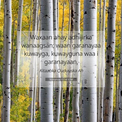 Picture 07 - Yooxanaa 10:14 SOM - Waxaan ahay adhijirka wanaagsan; waan garanayaa - Bible Verse Picture