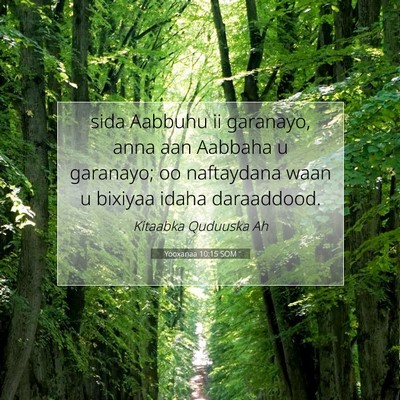 Picture 07 - Yooxanaa 10:15 SOM - sida Aabbuhu ii garanayo, anna aan Aabbaha u - Bible Verse Picture