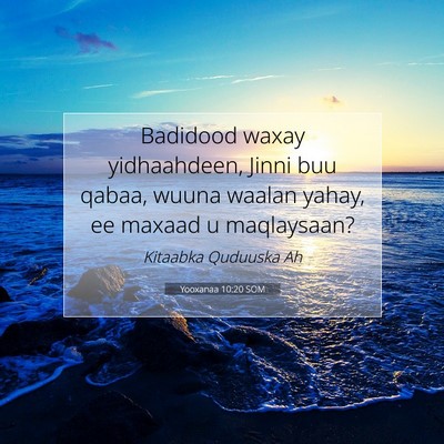 Picture 07 - Yooxanaa 10:20 SOM - Badidood waxay yidhaahdeen, Jinni buu qabaa, - Bible Verse Picture