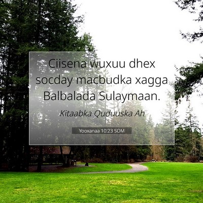 Picture 07 - Yooxanaa 10:23 SOM - Ciisena wuxuu dhex socday macbudka xagga - Bible Verse Picture