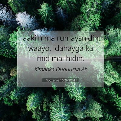 Picture 07 - Yooxanaa 10:26 SOM - laakiin ma rumaysnidin, waayo, idahayga ka mid ma - Bible Verse Picture