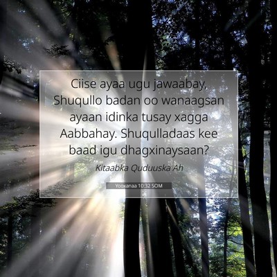 Picture 07 - Yooxanaa 10:32 SOM - Ciise ayaa ugu jawaabay, Shuqullo badan oo - Bible Verse Picture