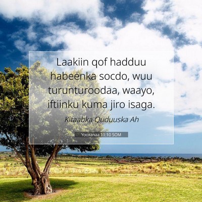Picture 07 - Yooxanaa 11:10 SOM - Laakiin qof hadduu habeenka socdo, wuu - Bible Verse Picture