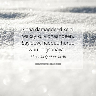 Picture 07 - Yooxanaa 11:12 SOM - Sidaa daraaddeed xertii waxay ku yidhaahdeen, - Bible Verse Picture