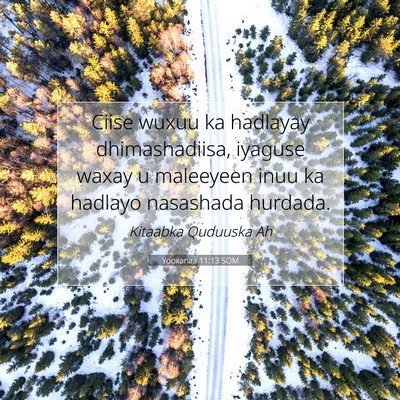 Picture 07 - Yooxanaa 11:13 SOM - Ciise wuxuu ka hadlayay dhimashadiisa, iyaguse - Bible Verse Picture