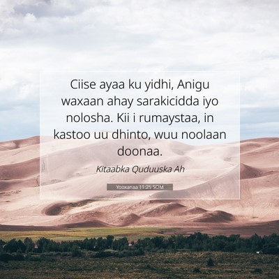 Picture 07 - Yooxanaa 11:25 SOM - Ciise ayaa ku yidhi, Anigu waxaan ahay - Bible Verse Picture