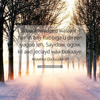Picture 07 - Yooxanaa 11:3 SOM - Sidaa aawadeed walaalihii farriin bay Rabbiga u - Bible Verse Picture