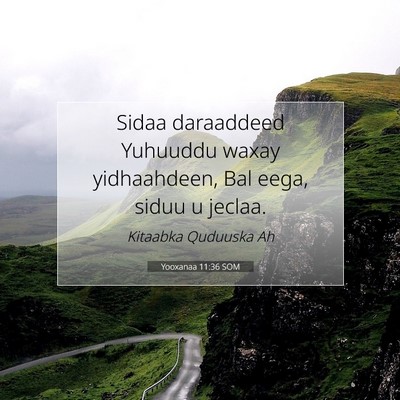 Picture 07 - Yooxanaa 11:36 SOM - Sidaa daraaddeed Yuhuuddu waxay yidhaahdeen, Bal - Bible Verse Picture