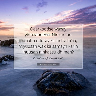 Picture 07 - Yooxanaa 11:37 SOM - Qaarkoodse waxay yidhaahdeen, Ninkan oo indhaha u - Bible Verse Picture