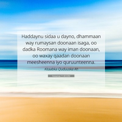Picture 07 - Yooxanaa 11:48 SOM - Haddaynu sidaa u dayno, dhammaan way rumaysan - Bible Verse Picture