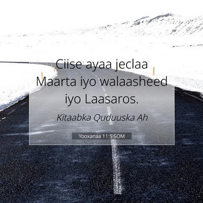 Picture 07 - Yooxanaa 11:5 SOM - Ciise ayaa jeclaa Maarta iyo walaasheed iyo - Bible Verse Picture