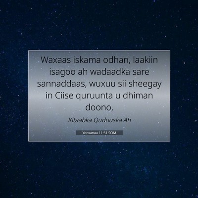 Picture 07 - Yooxanaa 11:51 SOM - Waxaas iskama odhan, laakiin isagoo ah wadaadka - Bible Verse Picture