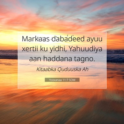 Picture 07 - Yooxanaa 11:7 SOM - Markaas dabadeed ayuu xertii ku yidhi, Yahuudiya - Bible Verse Picture