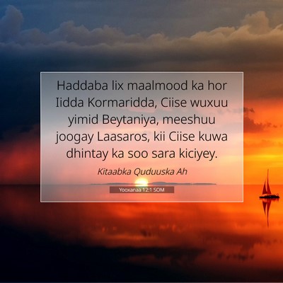 Picture 07 - Yooxanaa 12:1 SOM - Haddaba lix maalmood ka hor Iidda Kormaridda, - Bible Verse Picture