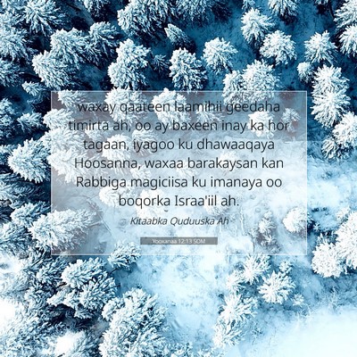 Picture 07 - Yooxanaa 12:13 SOM - waxay qaateen laamihii geedaha timirta ah, oo ay - Bible Verse Picture
