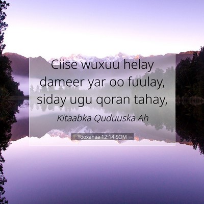 Picture 07 - Yooxanaa 12:14 SOM - Ciise wuxuu helay dameer yar oo fuulay, siday ugu - Bible Verse Picture