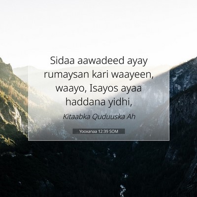 Picture 07 - Yooxanaa 12:39 SOM - Sidaa aawadeed ayay rumaysan kari waayeen, waayo, - Bible Verse Picture