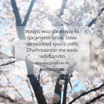 Picture 07 - Yooxanaa 13:11 SOM - Waayo, wuu garanayay kii gacangelin lahaa. Sidaa - Bible Verse Picture