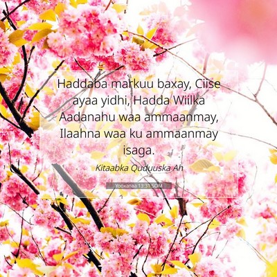 Picture 07 - Yooxanaa 13:31 SOM - Haddaba markuu baxay, Ciise ayaa yidhi, Hadda - Bible Verse Picture