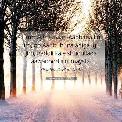 Picture 07 - Yooxanaa 14:11 SOM - I rumaysta inaan Aabbaha ku jiro, oo Aabbuhuna - Bible Verse Picture