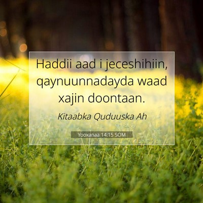 Picture 07 - Yooxanaa 14:15 SOM - Haddii aad i jeceshihiin, qaynuunnadayda waad - Bible Verse Picture