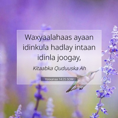 Picture 07 - Yooxanaa 14:25 SOM - Waxyaalahaas ayaan idinkula hadlay intaan idinla - Bible Verse Picture