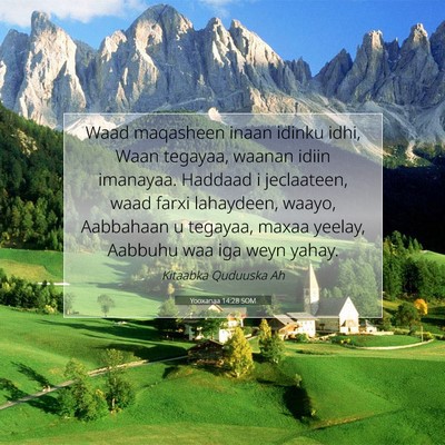 Picture 07 - Yooxanaa 14:28 SOM - Waad maqasheen inaan idinku idhi, Waan tegayaa, - Bible Verse Picture