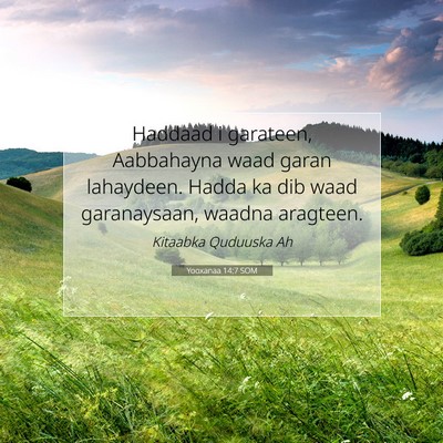 Picture 07 - Yooxanaa 14:7 SOM - Haddaad i garateen, Aabbahayna waad garan - Bible Verse Picture
