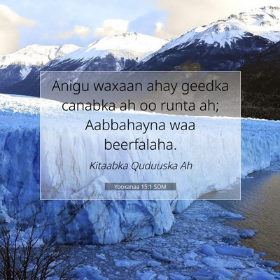 Picture 07 - Yooxanaa 15:1 SOM - Anigu waxaan ahay geedka canabka ah oo runta ah; - Bible Verse Picture