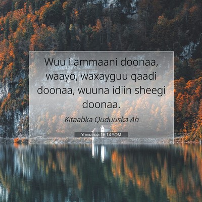 Picture 07 - Yooxanaa 16:14 SOM - Wuu i ammaani doonaa, waayo, waxayguu qaadi - Bible Verse Picture