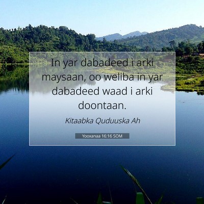 Picture 07 - Yooxanaa 16:16 SOM - In yar dabadeed i arki maysaan, oo weliba in yar - Bible Verse Picture