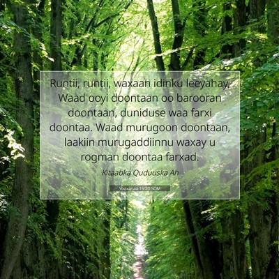 Picture 07 - Yooxanaa 16:20 SOM - Runtii, runtii, waxaan idinku leeyahay, Waad ooyi - Bible Verse Picture