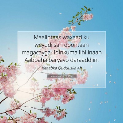 Picture 07 - Yooxanaa 16:26 SOM - Maalintaas waxaad ku weyddiisan doontaan - Bible Verse Picture