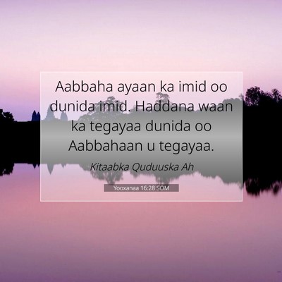 Picture 07 - Yooxanaa 16:28 SOM - Aabbaha ayaan ka imid oo dunida imid. Haddana - Bible Verse Picture