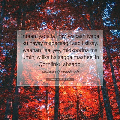 Picture 07 - Yooxanaa 17:12 SOM - Intaan iyaga la jiray, waxaan iyaga ku hayay - Bible Verse Picture