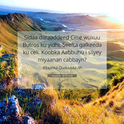 Picture 07 - Yooxanaa 18:11 SOM - Sidaa daraaddeed Ciise wuxuu Butros ku yidhi, - Bible Verse Picture