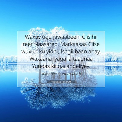 Picture 07 - Yooxanaa 18:5 SOM - Waxay ugu jawaabeen, Ciisihii reer Naasared. - Bible Verse Picture