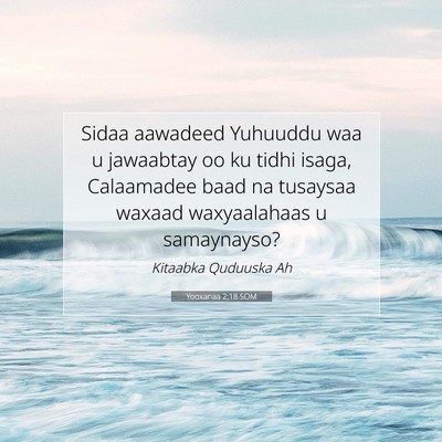 Picture 07 - Yooxanaa 2:18 SOM - Sidaa aawadeed Yuhuuddu waa u jawaabtay oo ku - Bible Verse Picture