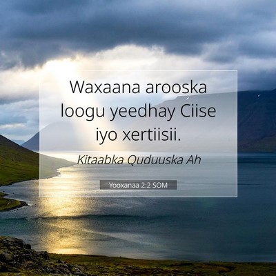 Picture 07 - Yooxanaa 2:2 SOM - Waxaana arooska loogu yeedhay Ciise iyo - Bible Verse Picture
