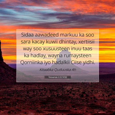 Picture 07 - Yooxanaa 2:22 SOM - Sidaa aawadeed markuu ka soo sara kacay kuwii - Bible Verse Picture