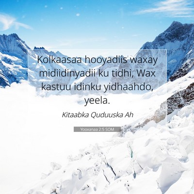 Picture 07 - Yooxanaa 2:5 SOM - Kolkaasaa hooyadiis waxay midiidinyadii ku tidhi, - Bible Verse Picture