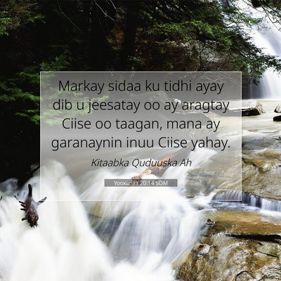 Picture 07 - Yooxanaa 20:14 SOM - Markay sidaa ku tidhi ayay dib u jeesatay oo ay - Bible Verse Picture