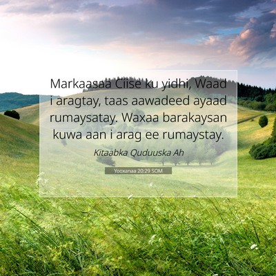 Picture 07 - Yooxanaa 20:29 SOM - Markaasaa Ciise ku yidhi, Waad i aragtay, taas - Bible Verse Picture