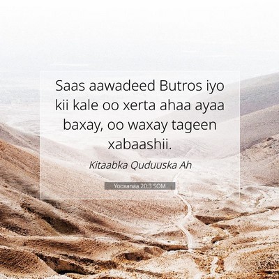 Picture 07 - Yooxanaa 20:3 SOM - Saas aawadeed Butros iyo kii kale oo xerta ahaa - Bible Verse Picture