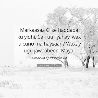 Picture 07 - Yooxanaa 21:5 SOM - Markaasaa Ciise haddaba ku yidhi, Carruur yahay, - Bible Verse Picture