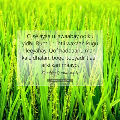 Picture 07 - Yooxanaa 3:3 SOM - Ciise ayaa u jawaabay oo ku yidhi, Runtii, runtii - Bible Verse Picture