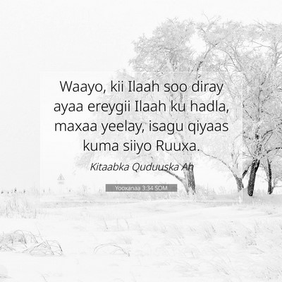 Picture 07 - Yooxanaa 3:34 SOM - Waayo, kii Ilaah soo diray ayaa ereygii Ilaah ku - Bible Verse Picture