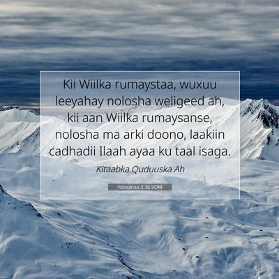 Picture 07 - Yooxanaa 3:36 SOM - Kii Wiilka rumaystaa, wuxuu leeyahay nolosha - Bible Verse Picture