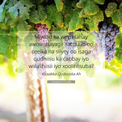 Picture 07 - Yooxanaa 4:12 SOM - Miyaad ka weyn tahay awowahayagii Yacquub oo - Bible Verse Picture